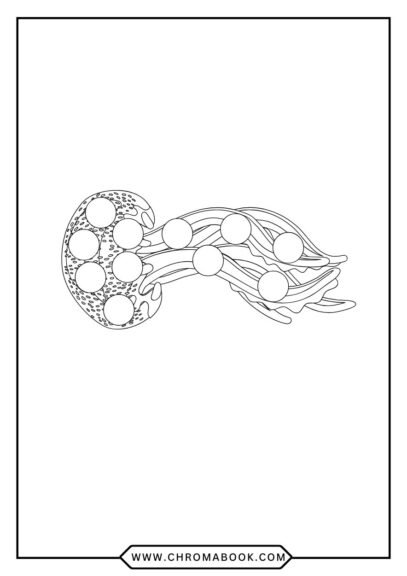 A whimsical jellyfish coloring page featuring intricate patterns and flowing tentacles, perfect for a free printable art activity.