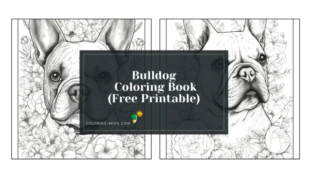 Bulldog Coloring Book