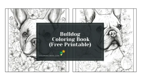 Bulldog Coloring Book