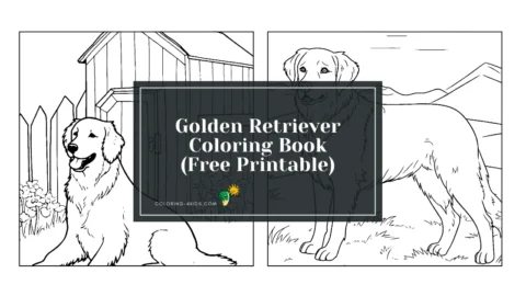 Golden Retriever Coloring Book