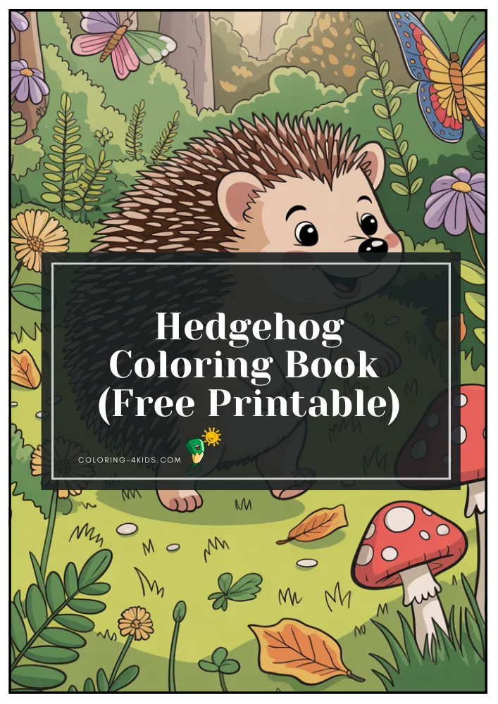 Hedgehog Coloring Book cover