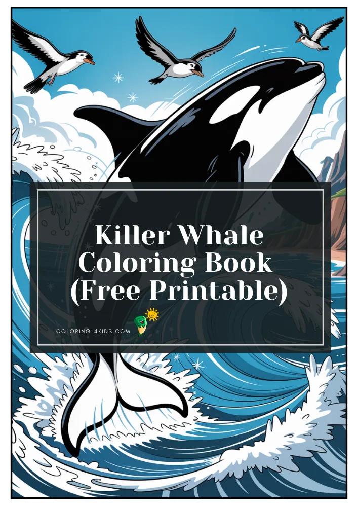 Killer Whale Coloring Book cover