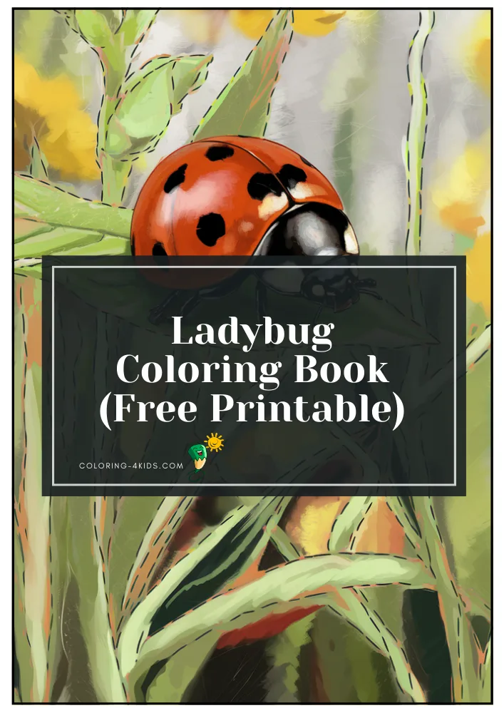 Ladybug Coloring Book cover