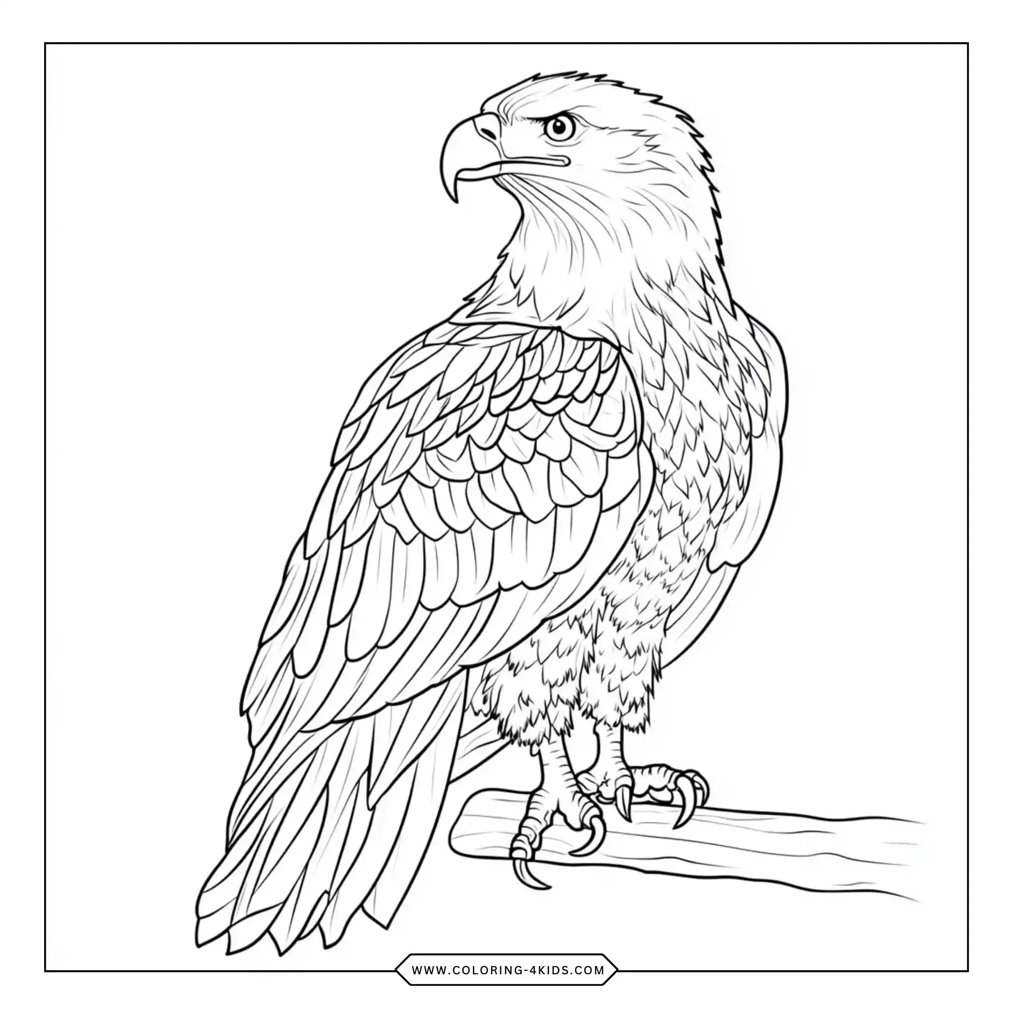 Bald Eagle Coloring Pages coloring page for kids