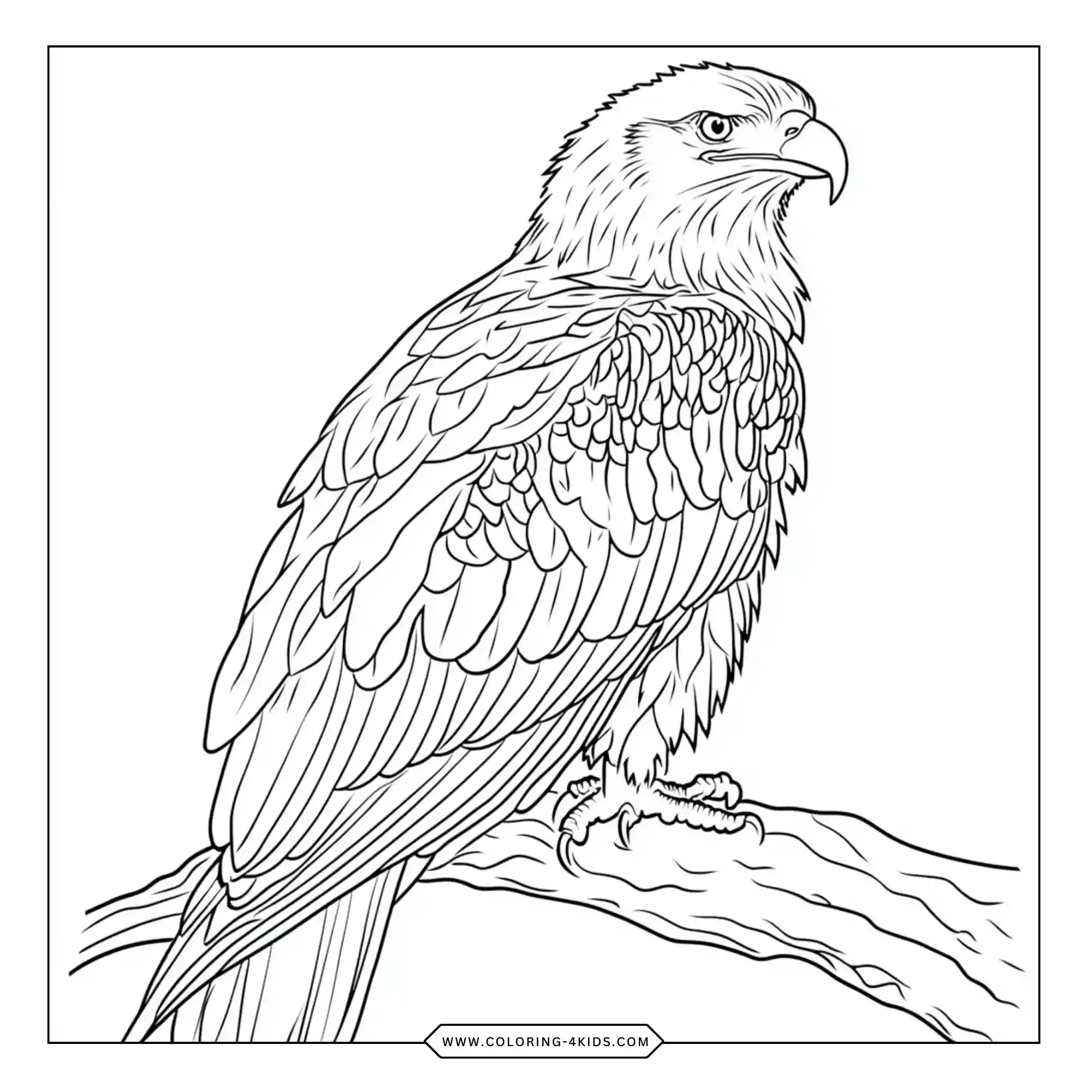 Printable Bald Eagle Coloring Pages coloring page for kids