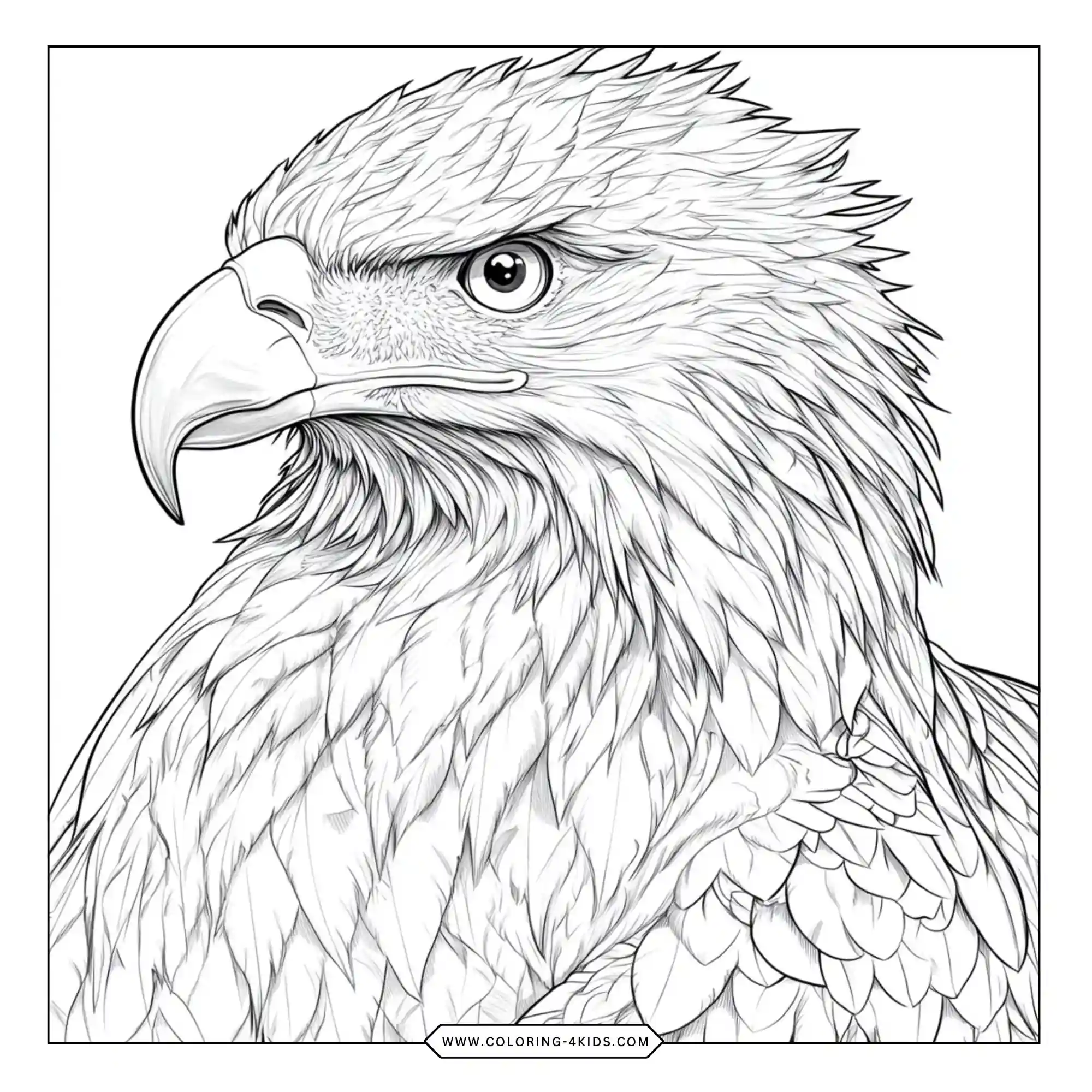 Free Bald Eagle Coloring Pages coloring page for kids