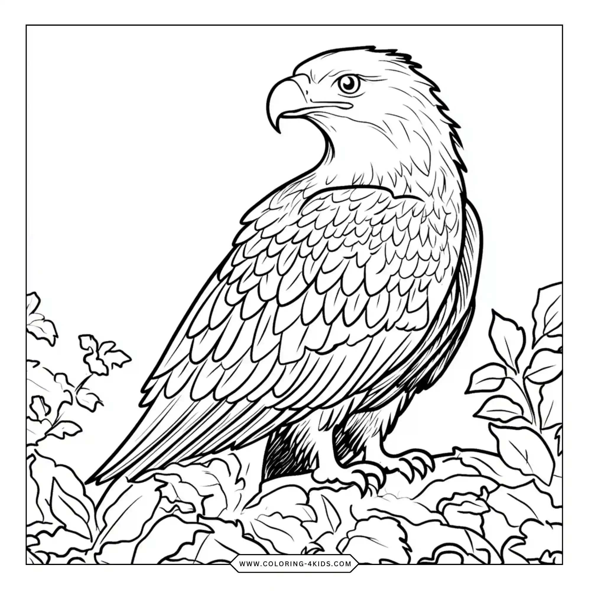 Bald Eagle Coloring Pages coloring page for kids