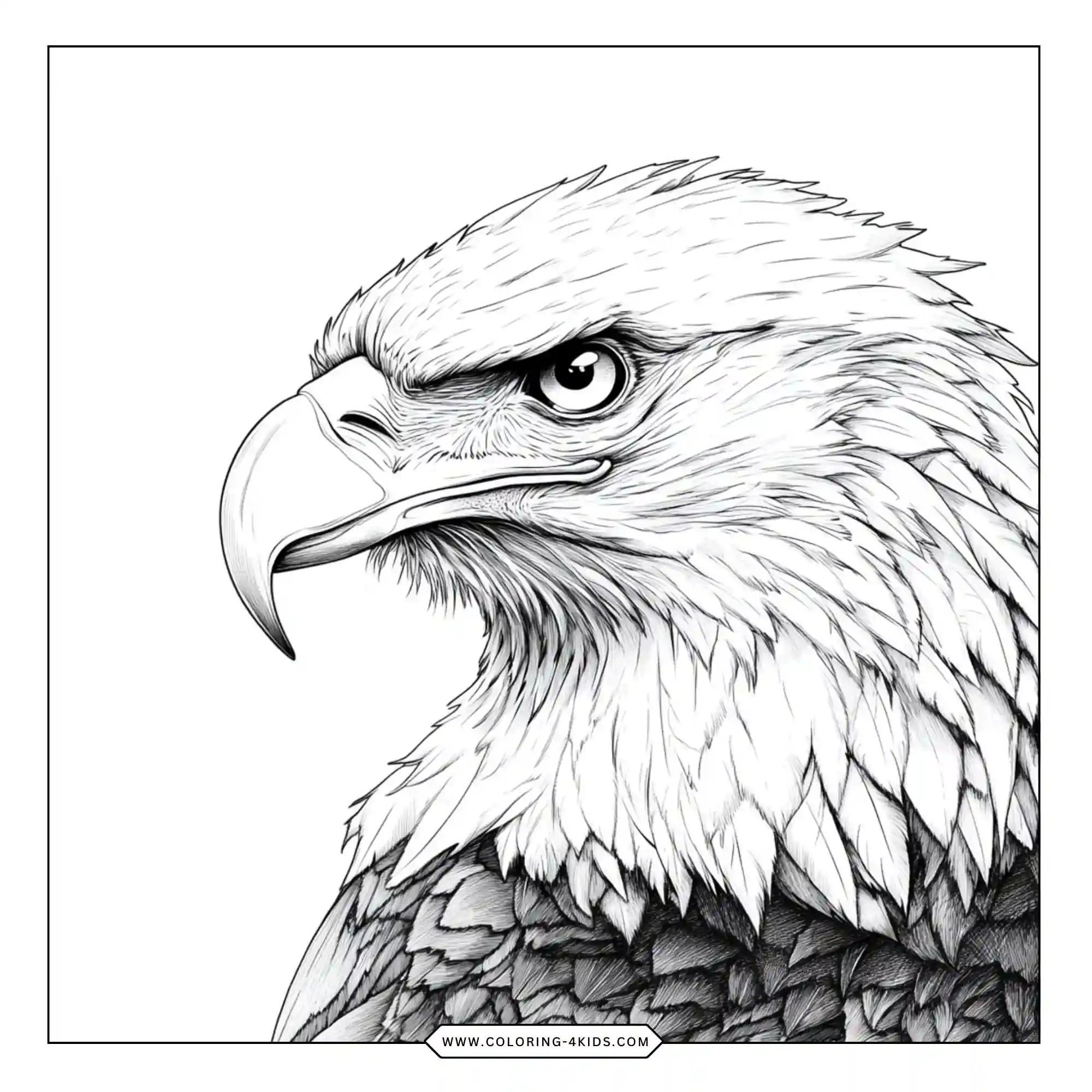 Printable Bald Eagle Coloring Pages coloring page for kids