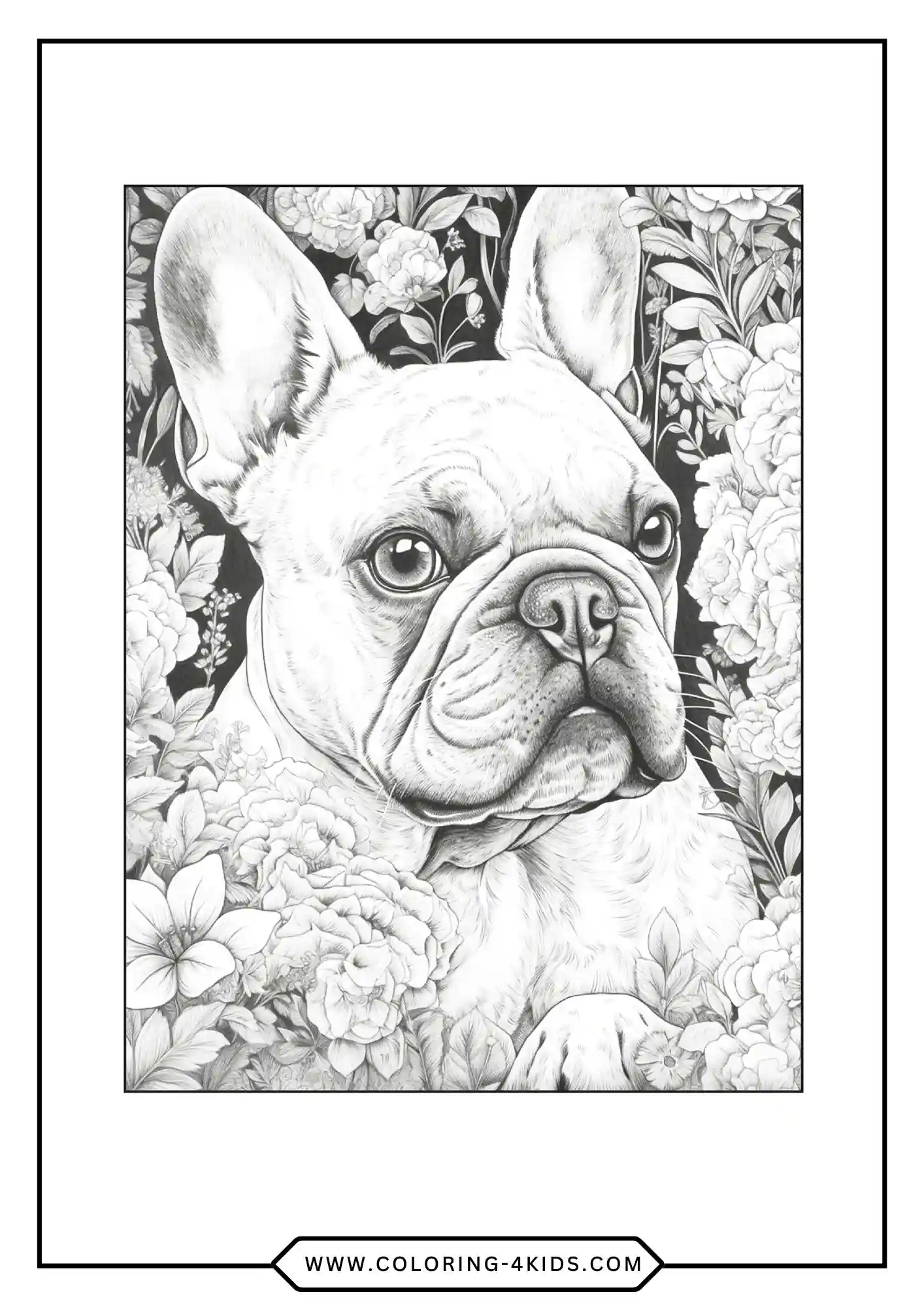 Free Bulldog Coloring Pages coloring page for kids