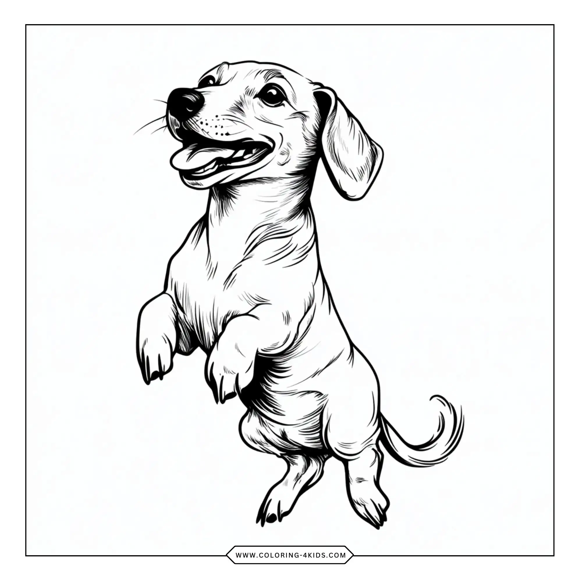 Printable Dachshund Coloring Pages coloring page for kids