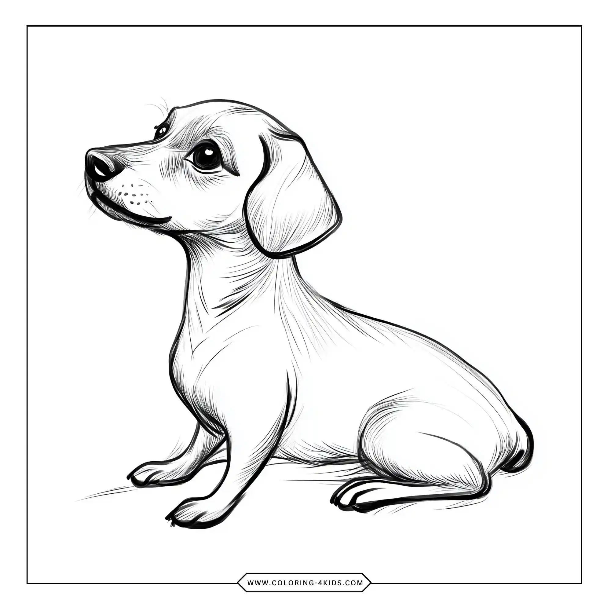 Free Dachshund Coloring Pages coloring page for kids