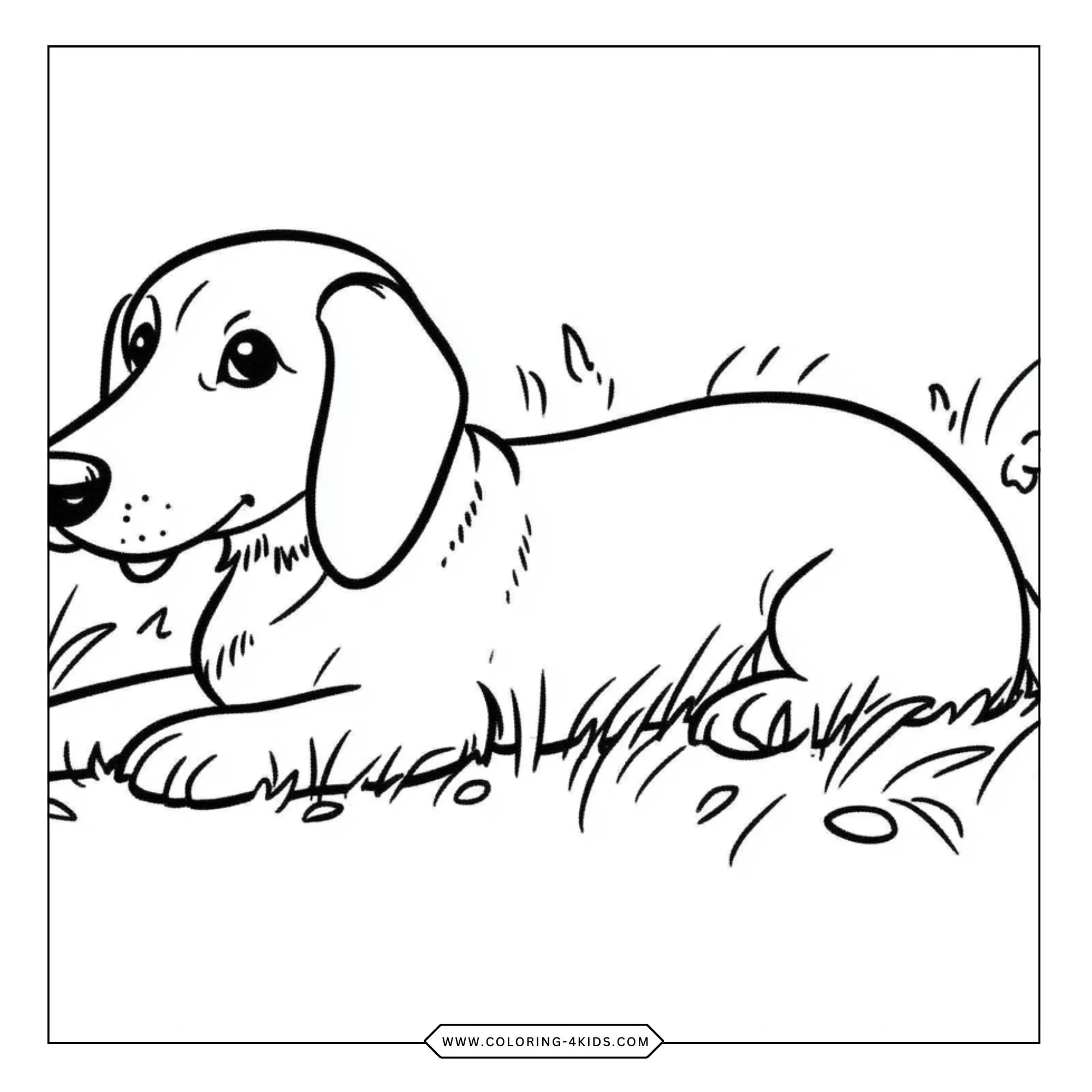 Printable Dachshund Coloring Pages coloring page for kids