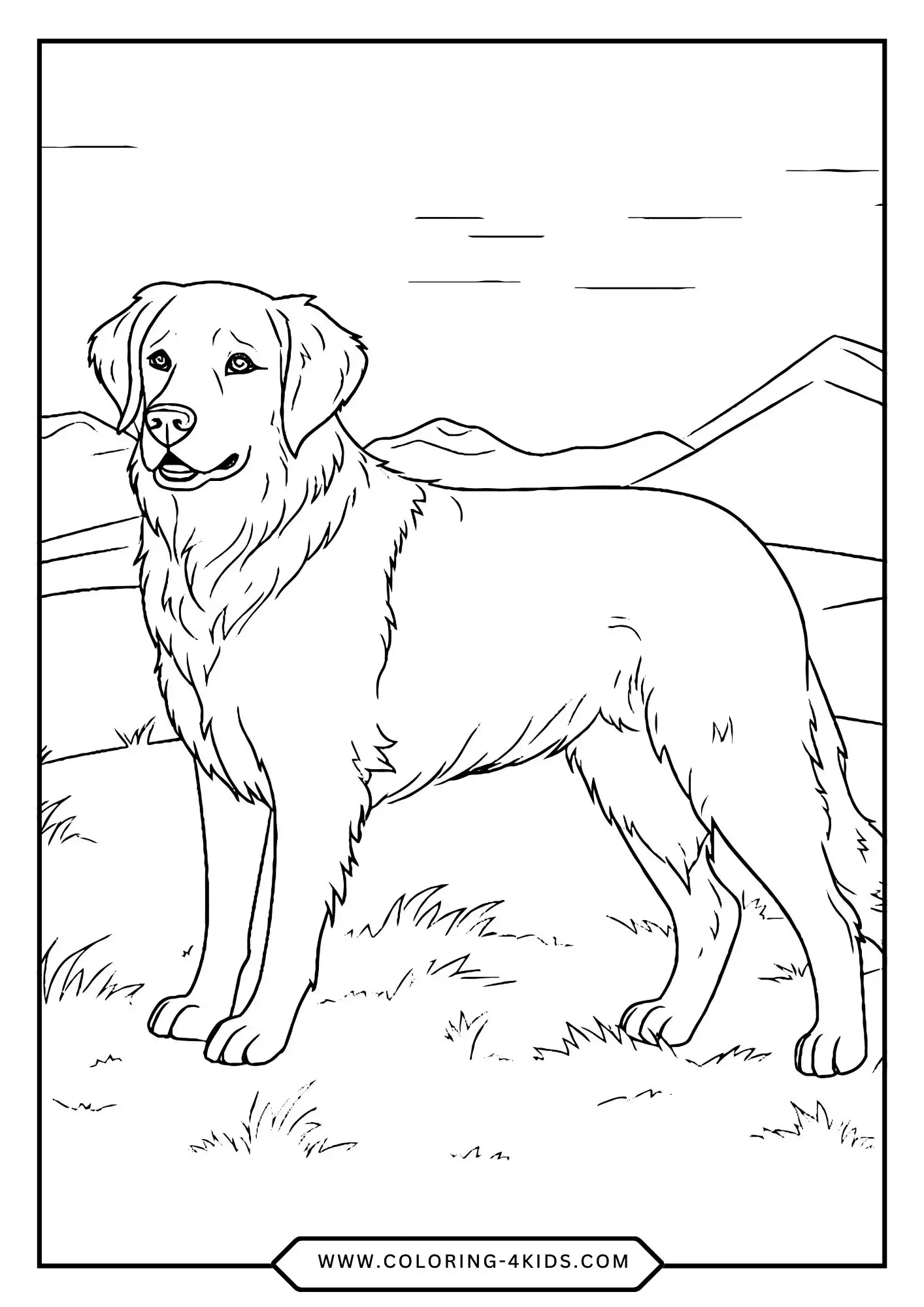 Golden Retriever Coloring Pages coloring page for kids