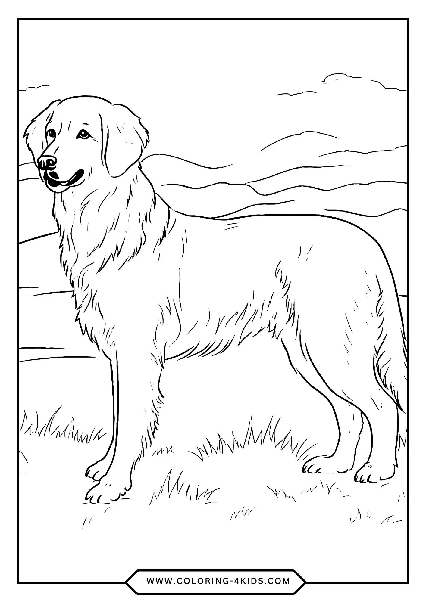 Golden Retriever Coloring Pages coloring page for kids