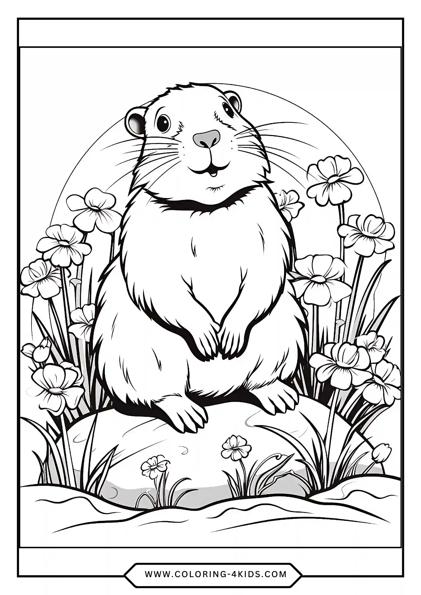 Free Groundhog Coloring Pages coloring page for kids