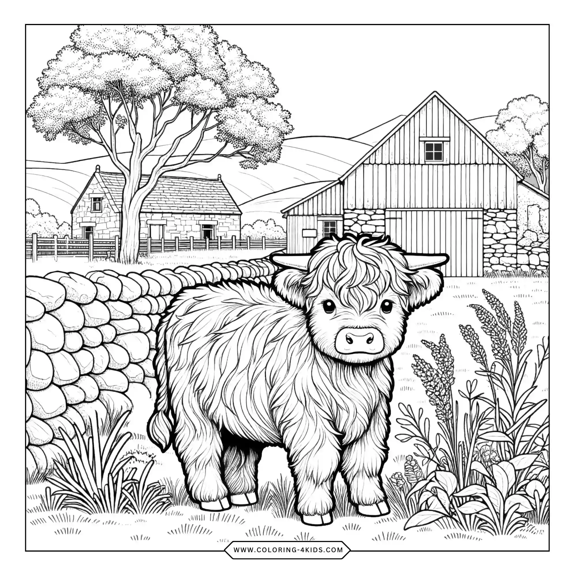 Highland Cow Coloring Pages coloring page for kids