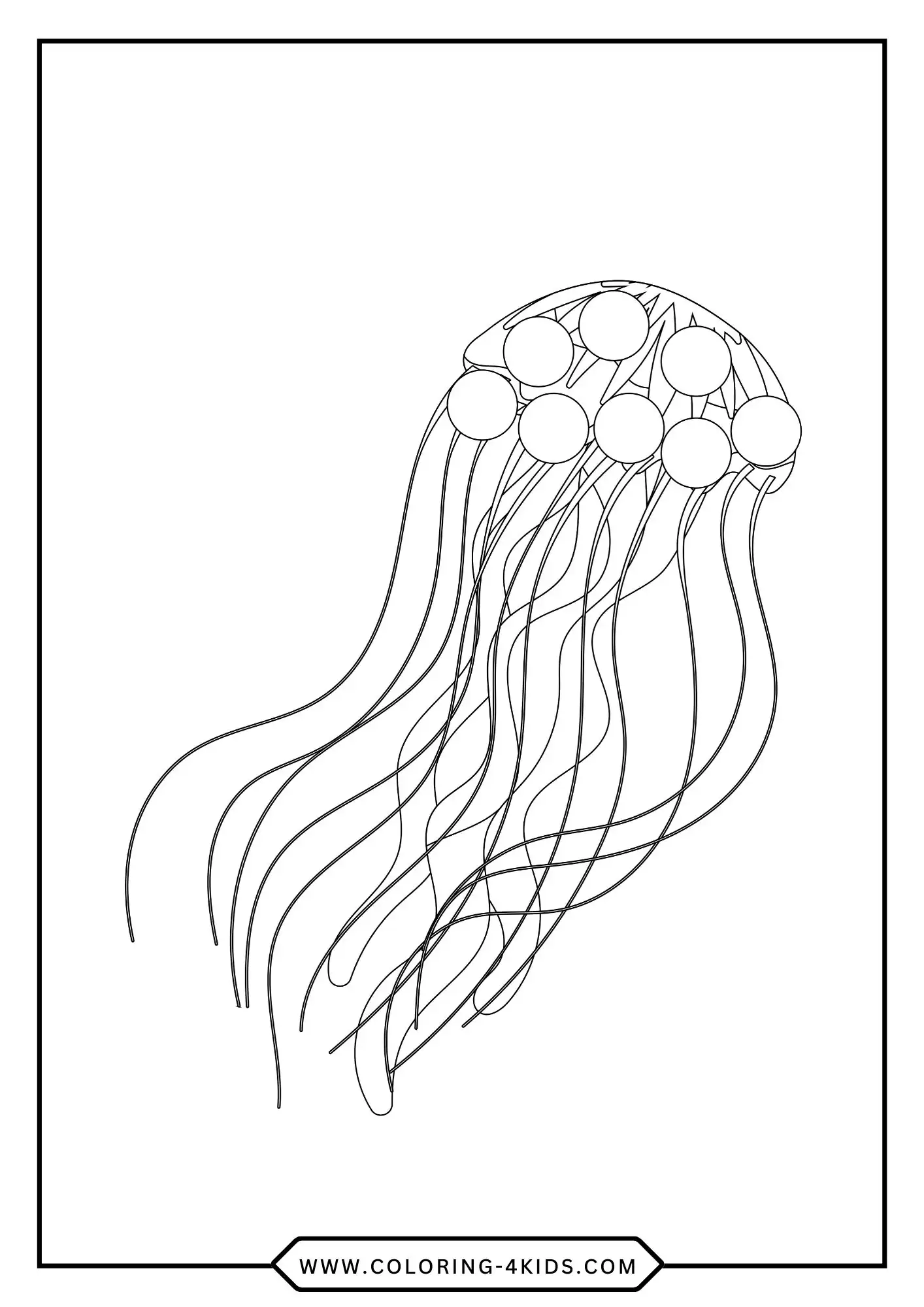 Printable Jellyfish Coloring Pages coloring page for kids