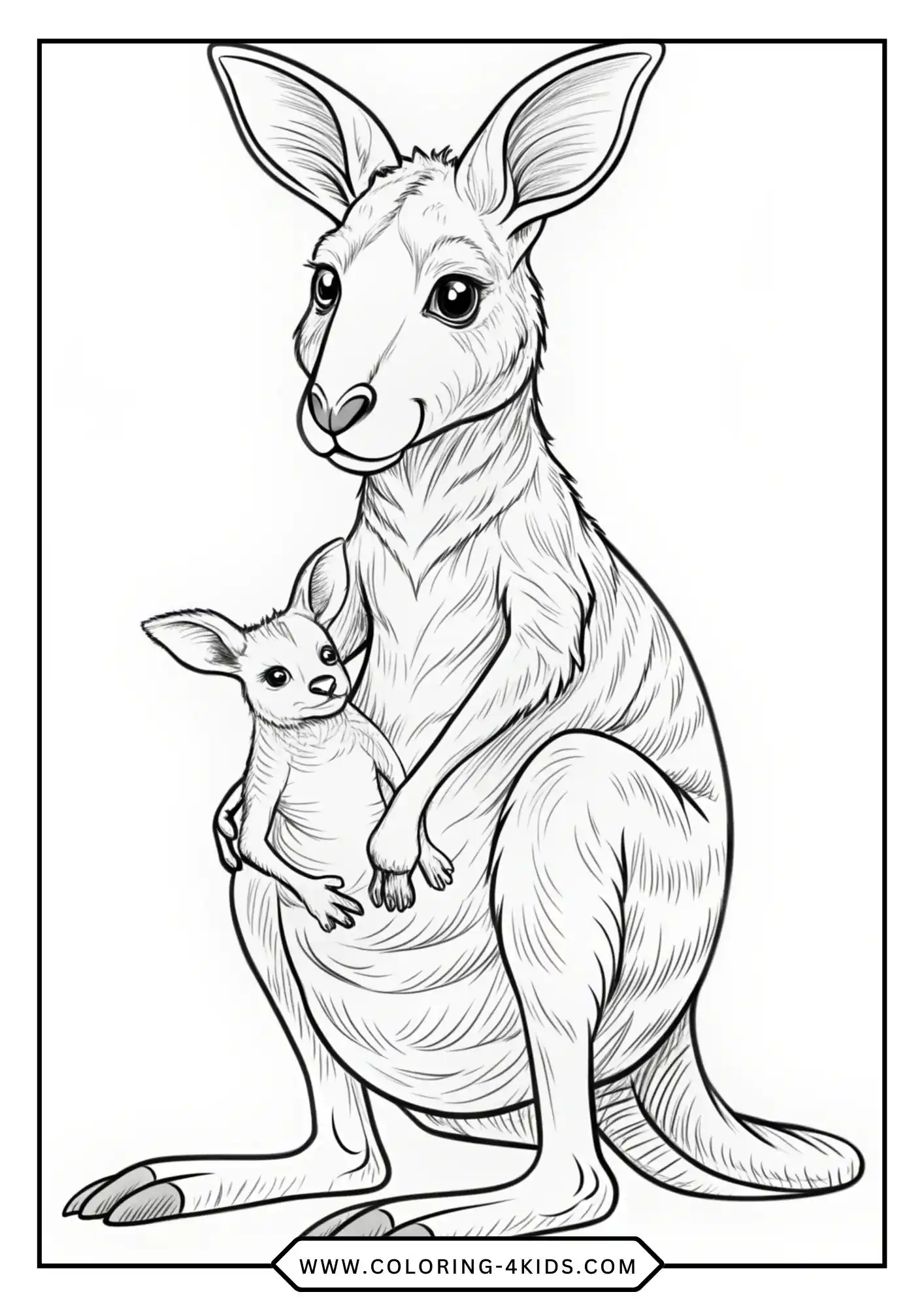 Kangaroo Coloring Pages coloring page for kids