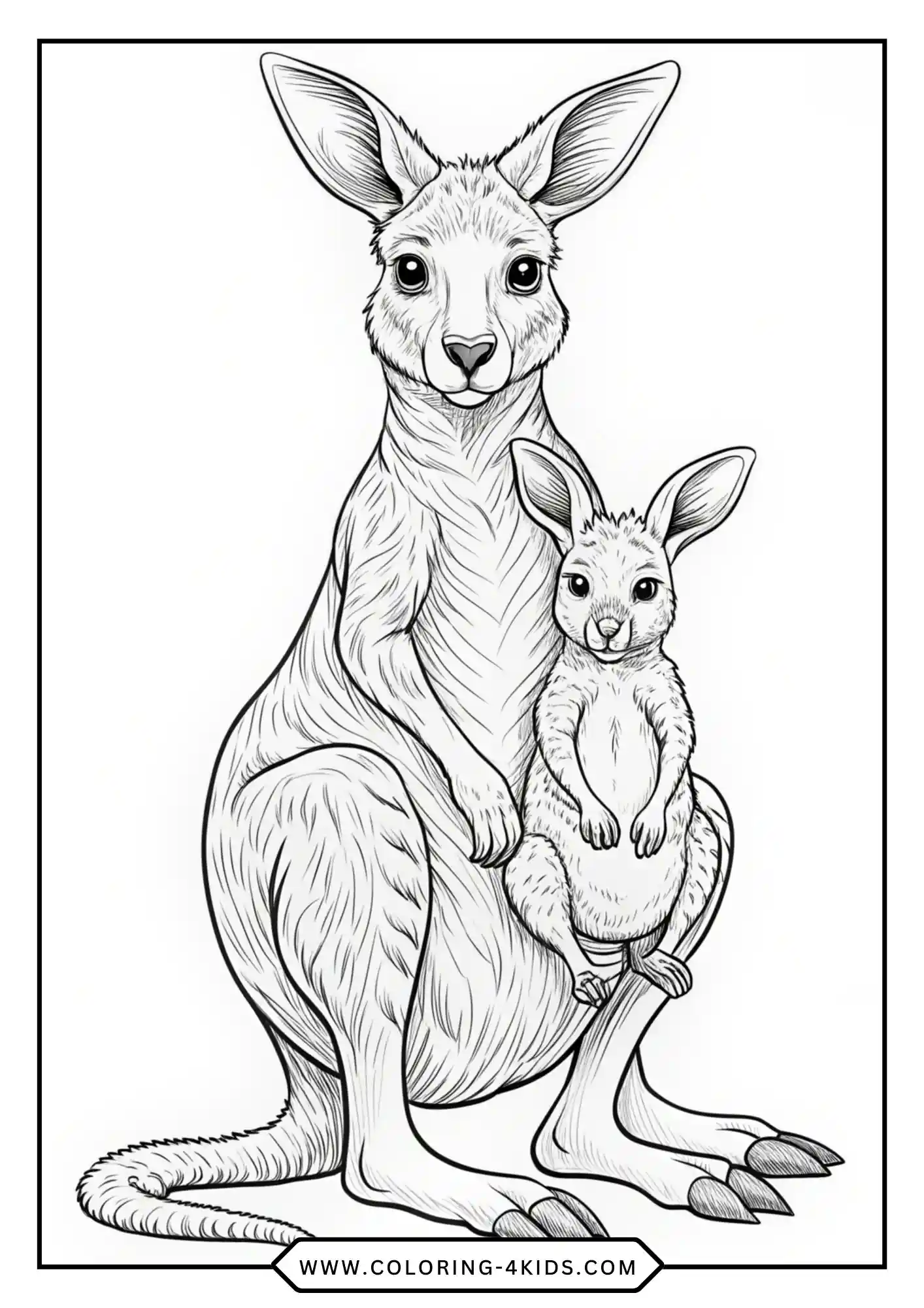 Printable Kangaroo Coloring Pages coloring page for kids
