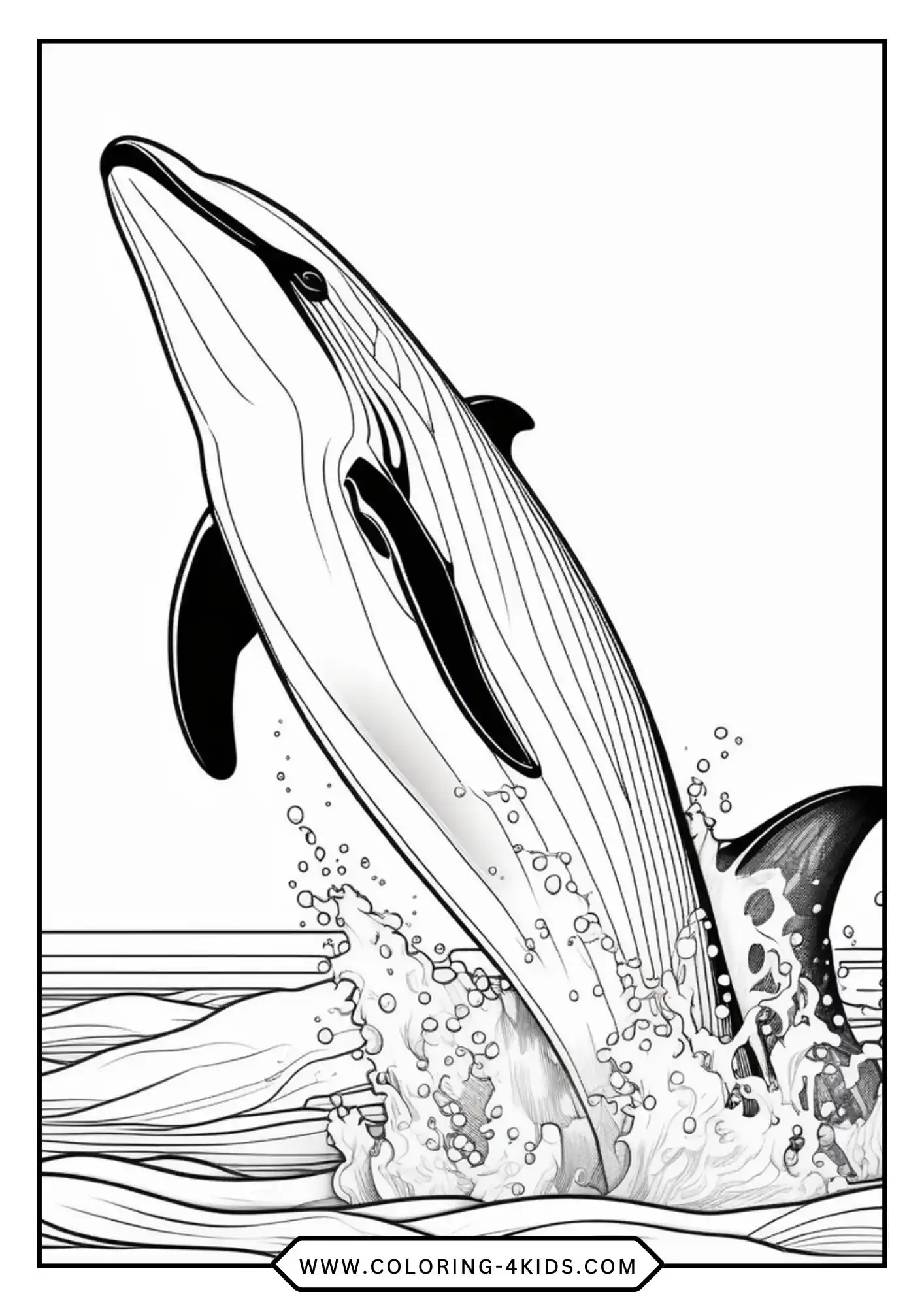 Printable Killer Whale Coloring Pages coloring page for kids