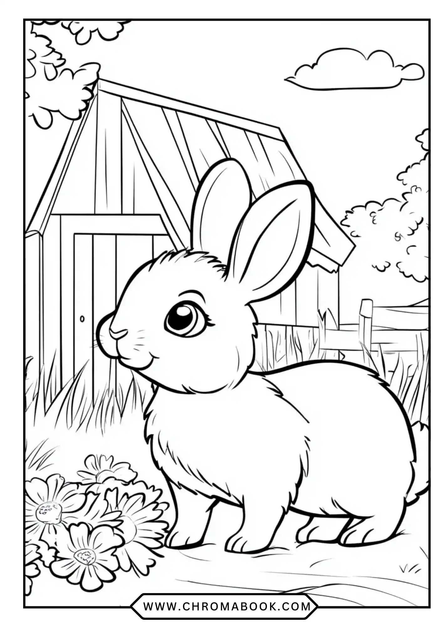 Rabbit Coloring Pages coloring page for kids