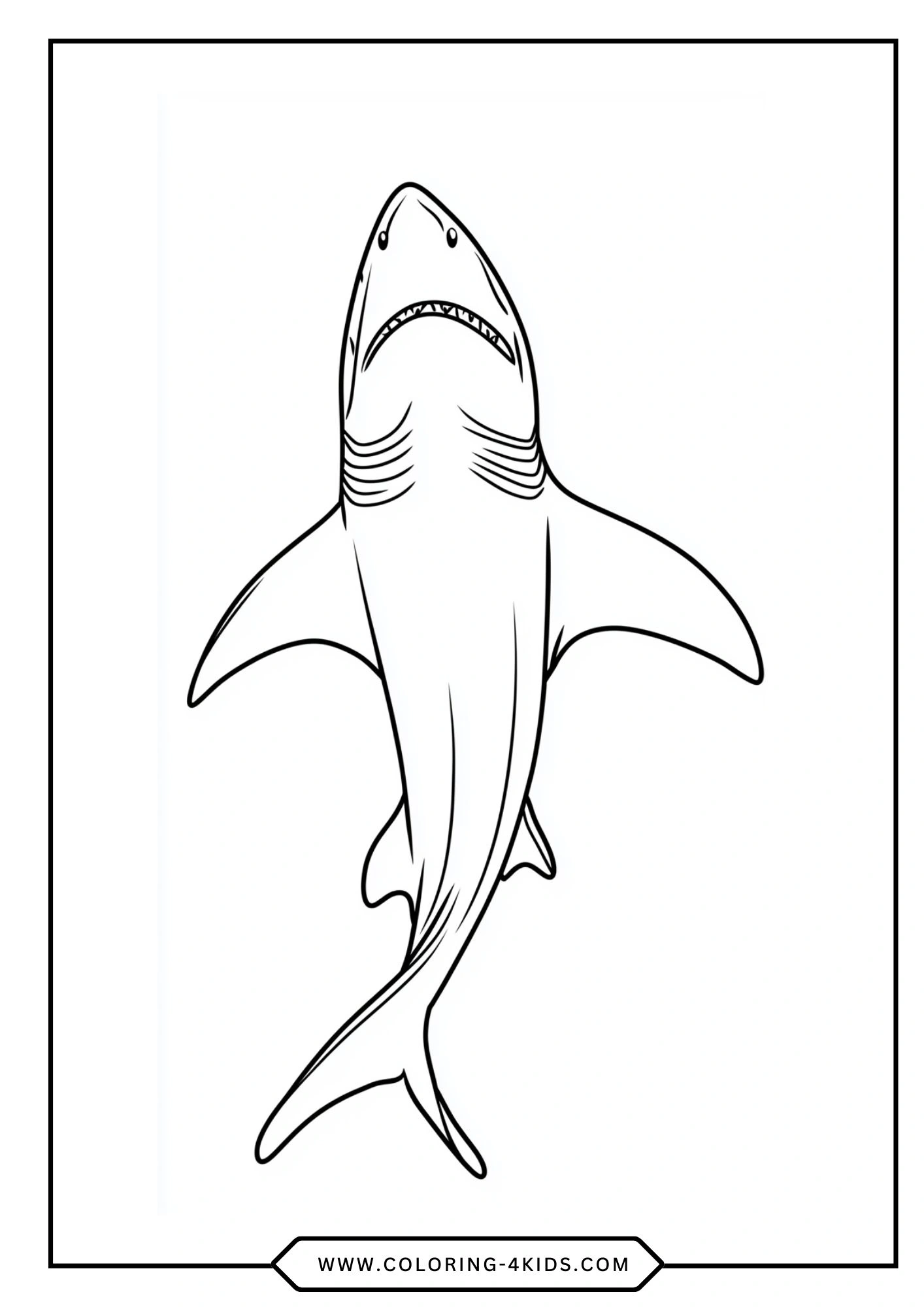 Shark Coloring Pages coloring page for kids