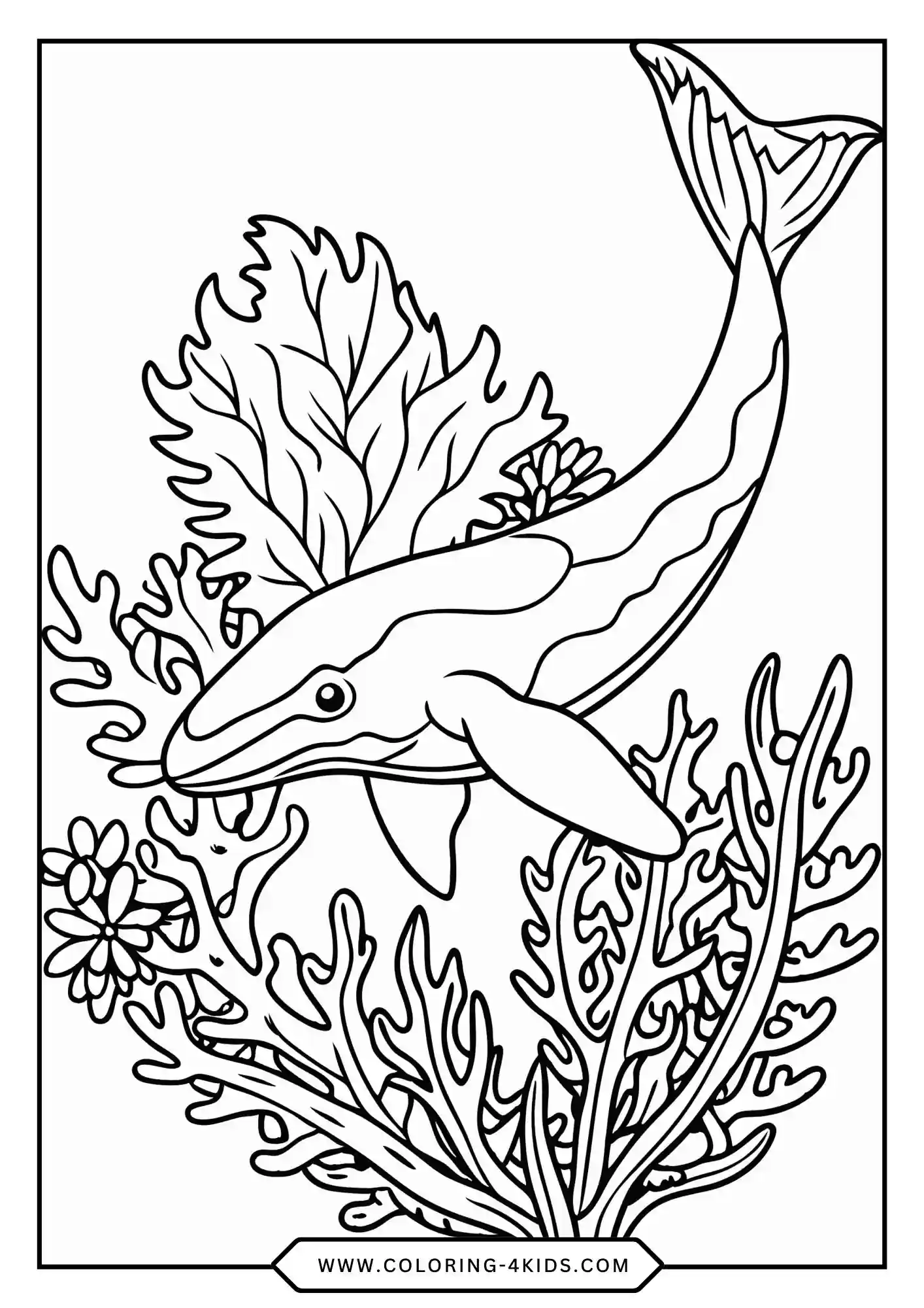 Whale Coloring Pages coloring page for kids
