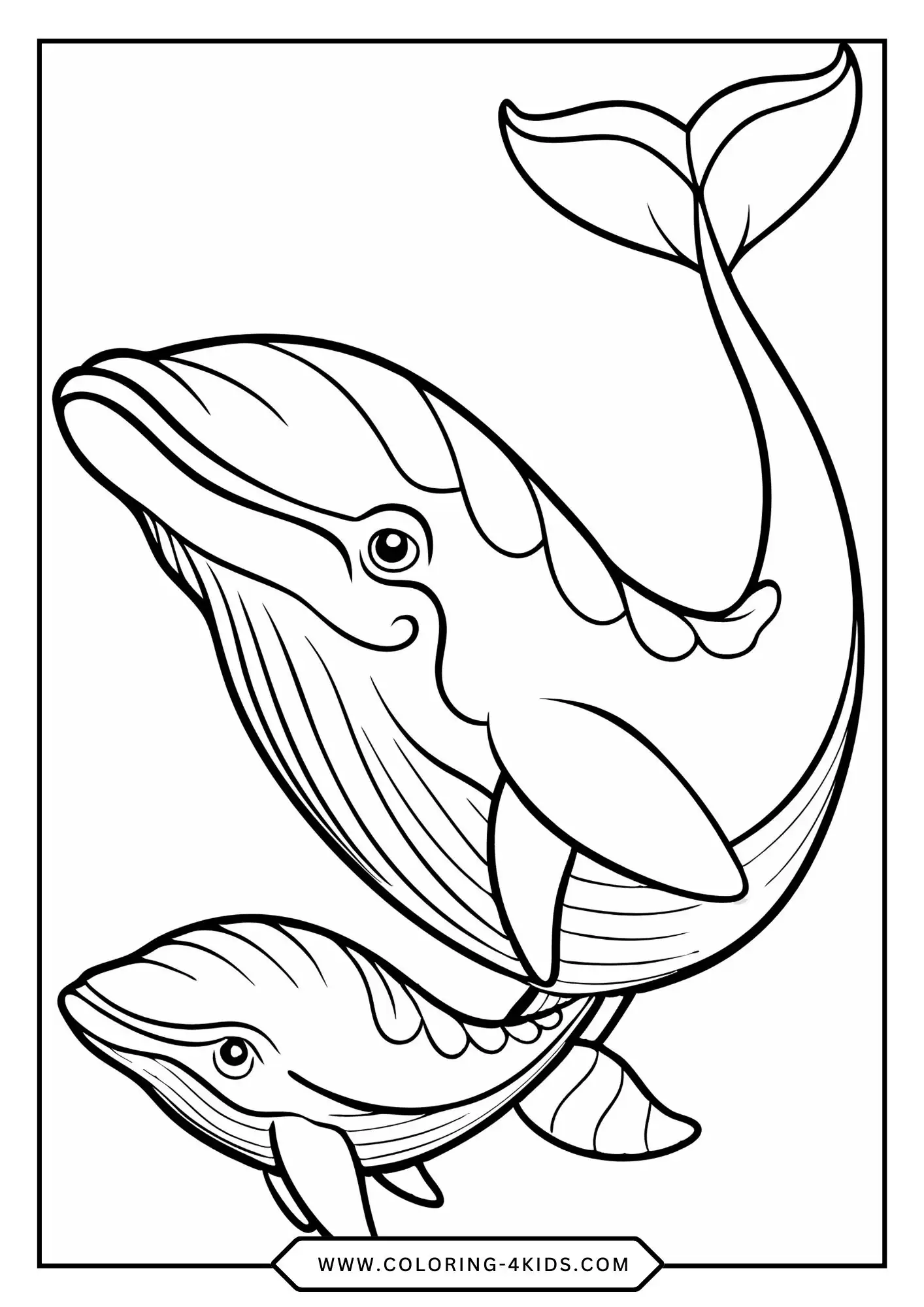 Whale Coloring Pages coloring page for kids