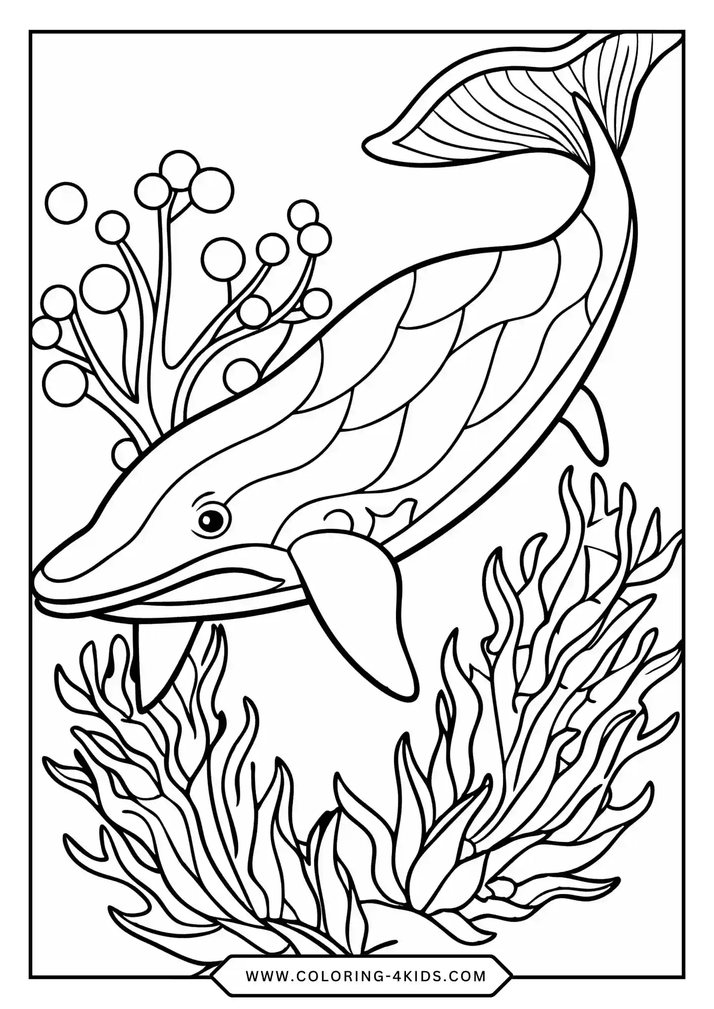 Whale Coloring Pages coloring page for kids