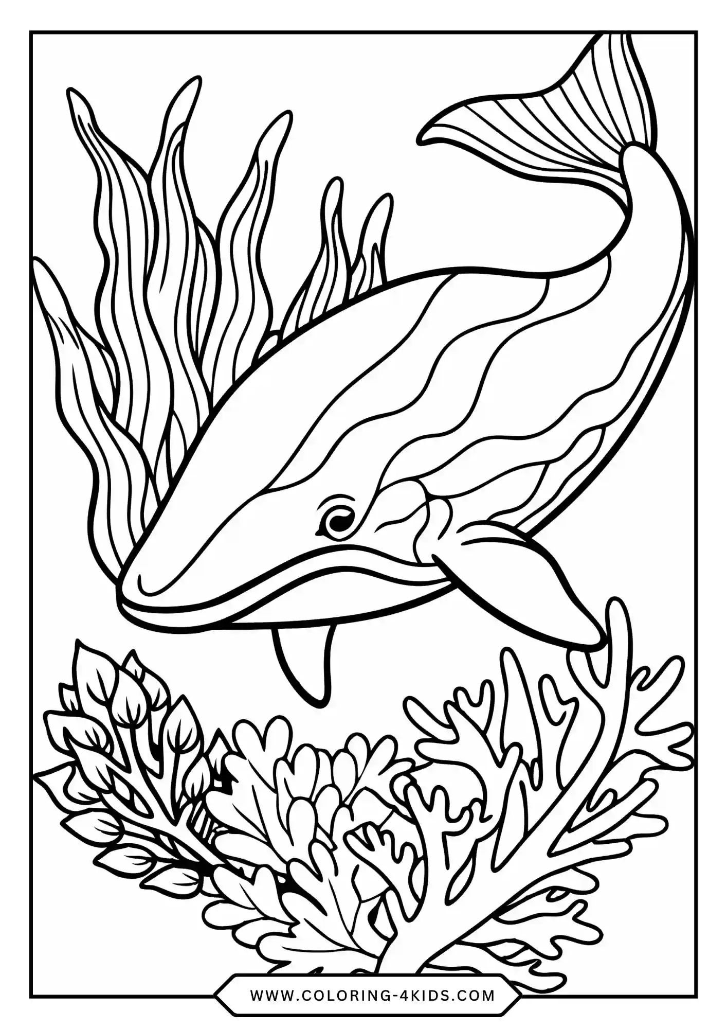 Free Whale Coloring Pages coloring page for kids