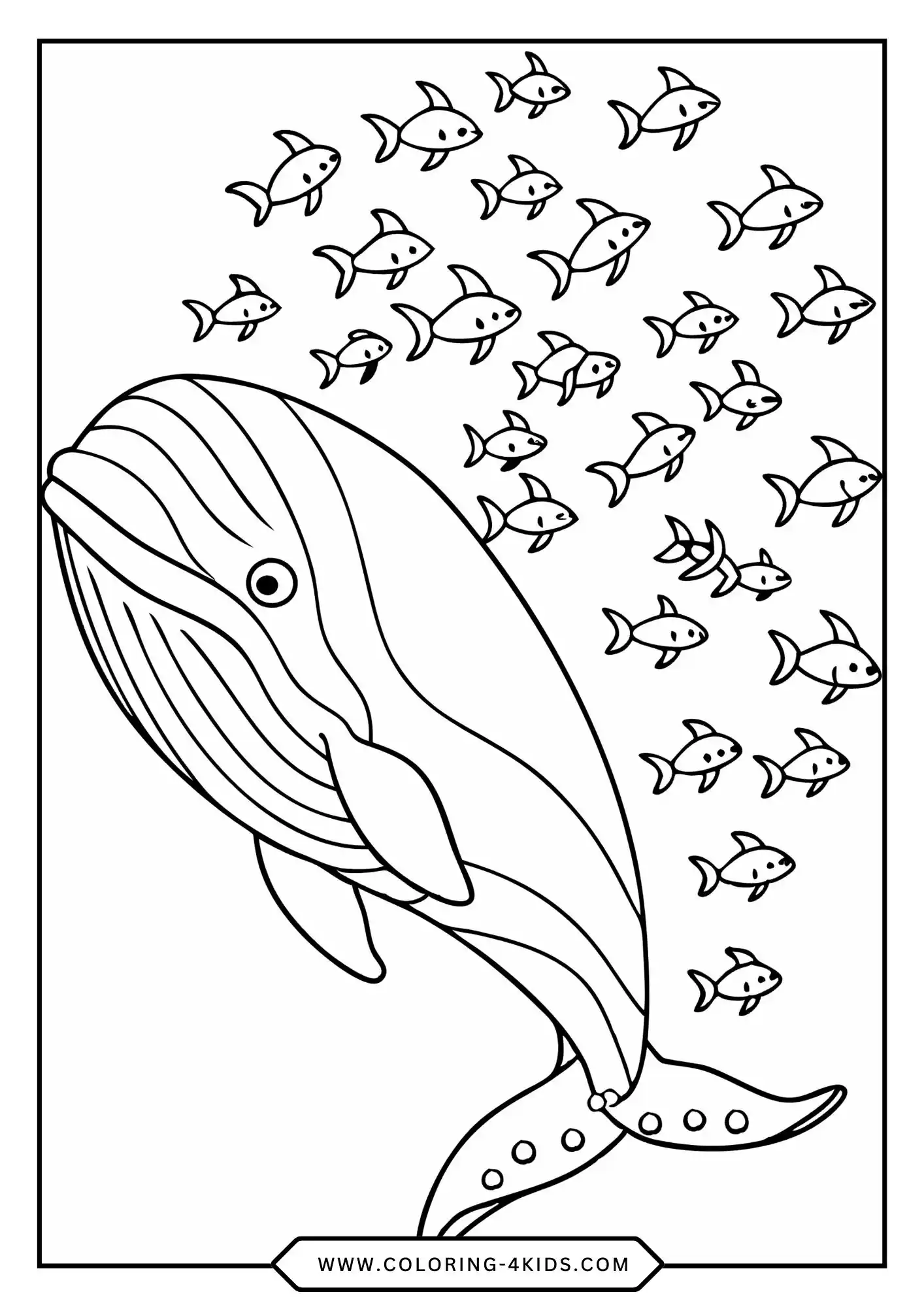 Printable Whale Coloring Pages coloring page for kids