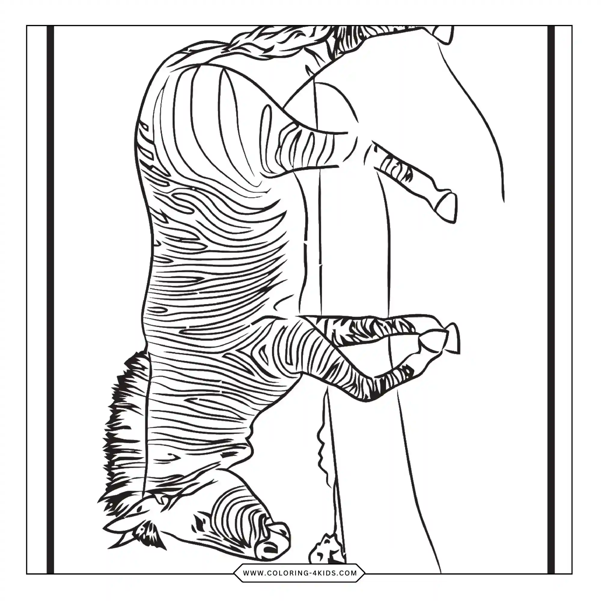 Free Zoo Animals Coloring Pages coloring page for kids