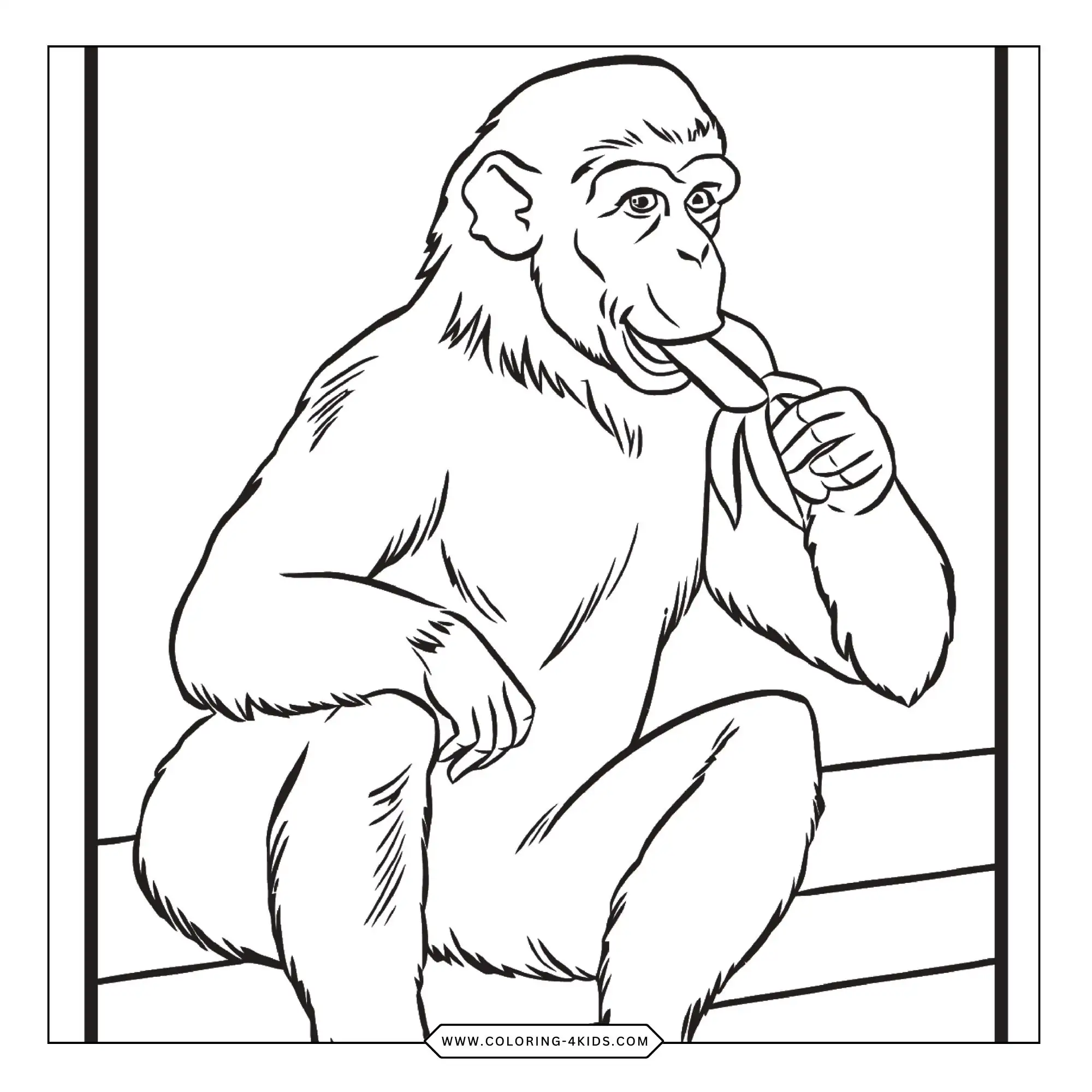 Zoo Animals Coloring Pages coloring page for kids