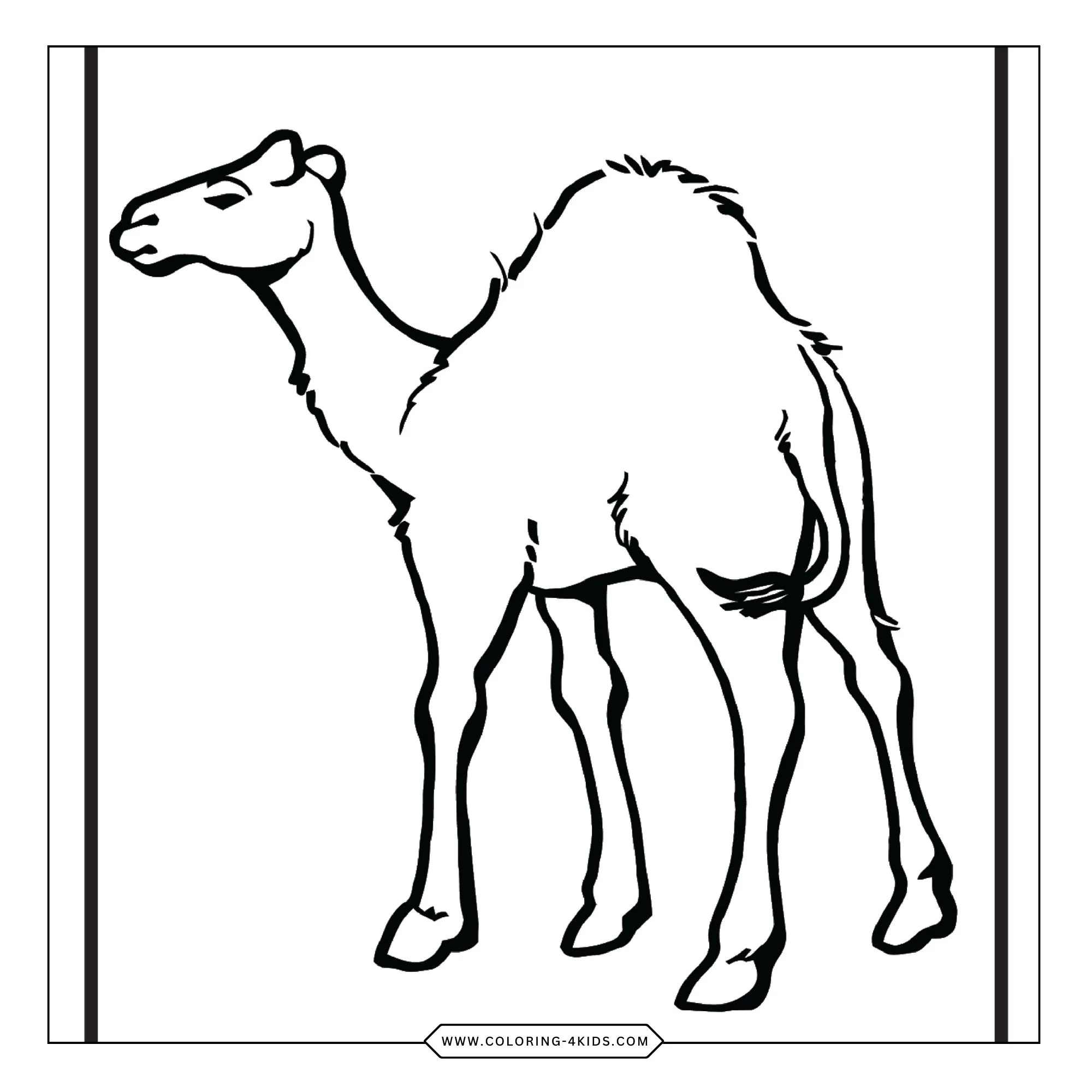 Zoo Animals Coloring Pages coloring page for kids