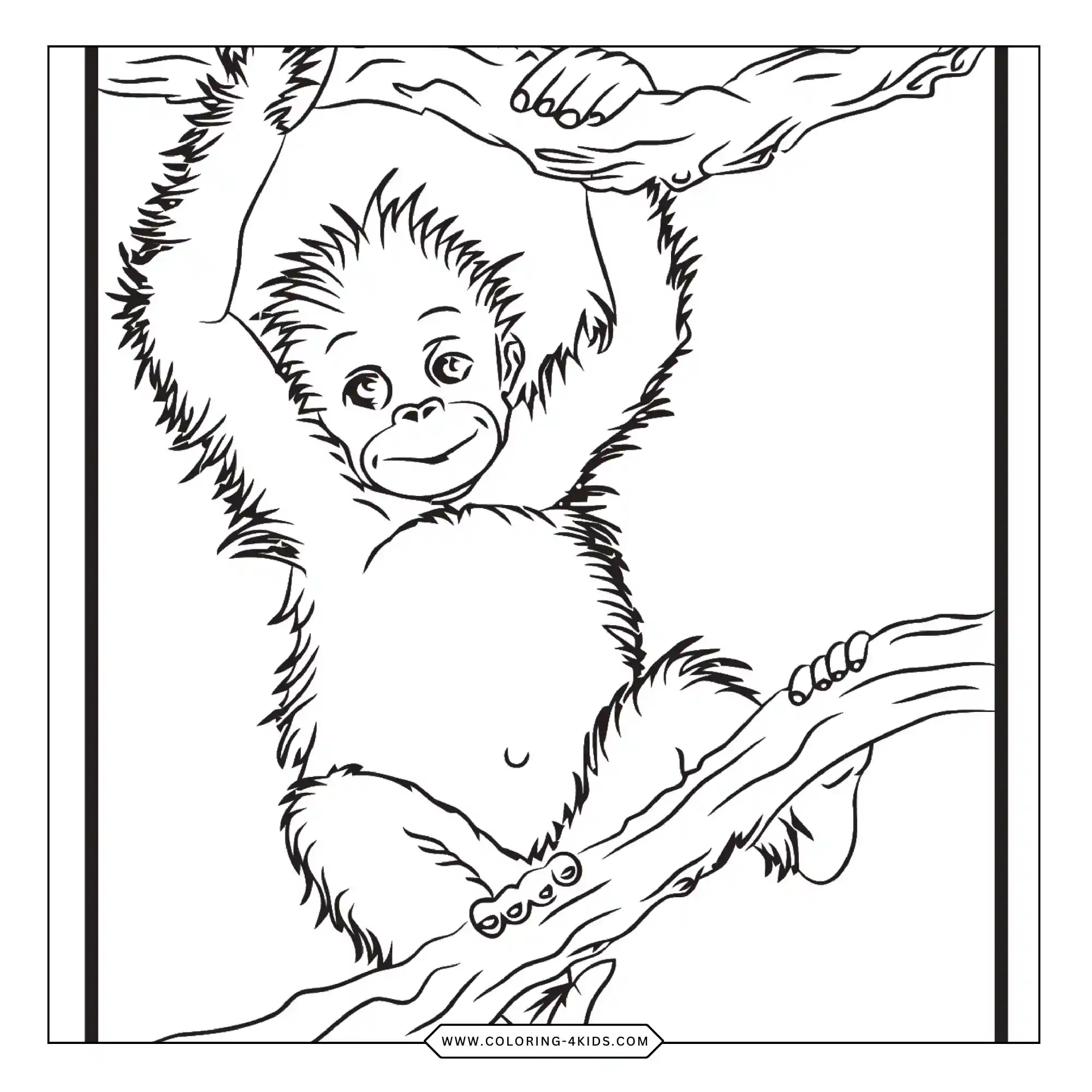 Free Zoo Animals Coloring Pages coloring page for kids